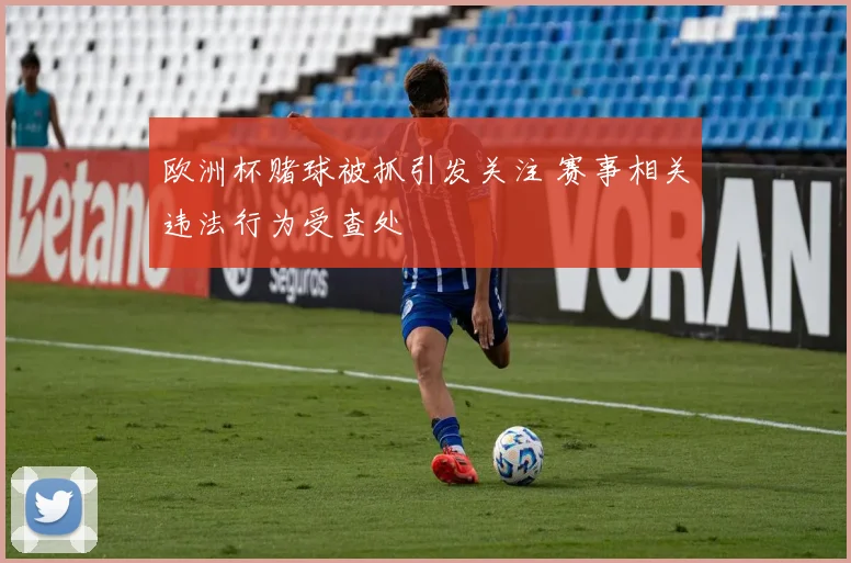 欧洲杯赌球被抓引发关注 赛事相关违法行为受查处