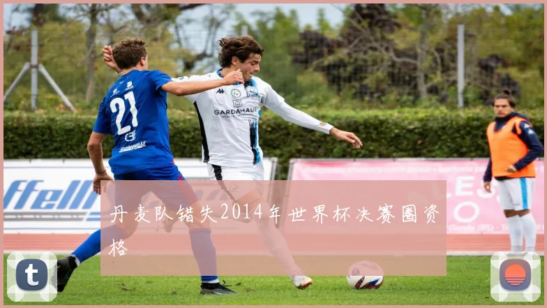 丹麦队错失2014年世界杯决赛圈资格