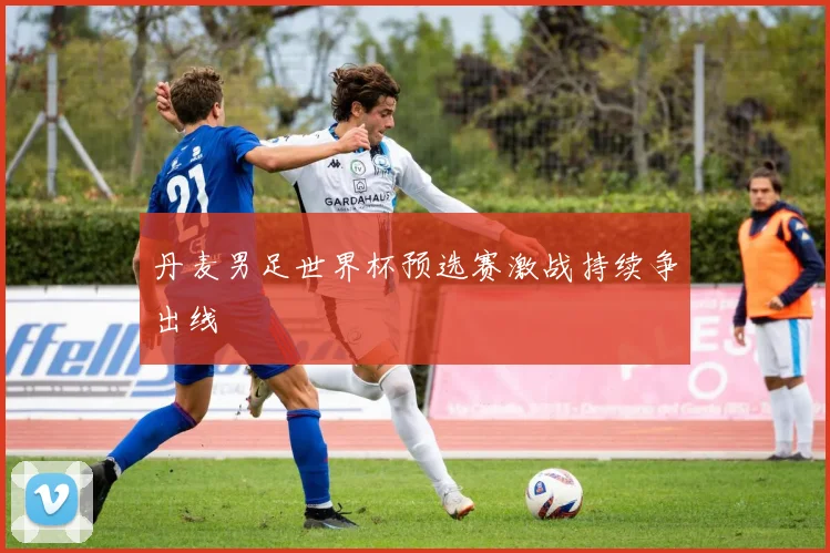 丹麦男足世界杯预选赛激战持续争出线