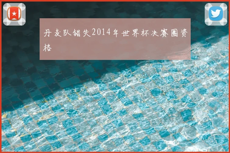 丹麦队错失2014年世界杯决赛圈资格
