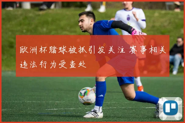 欧洲杯赌球被抓引发关注 赛事相关违法行为受查处